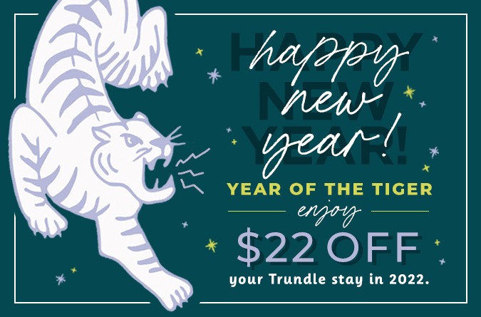 happy new year $22 off