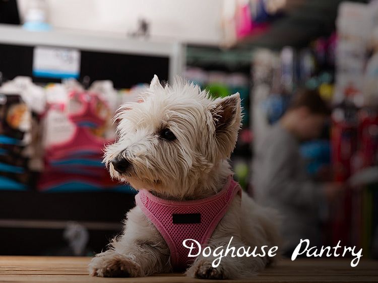 Hotels In Tupelo MS About Hotel Tupelo