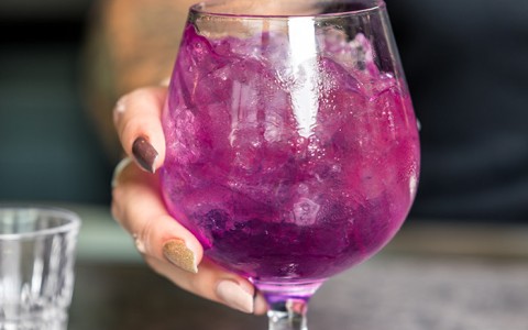 women holding purple cocktail