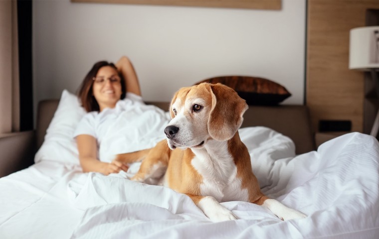 view of a woman laying with her dog that is sitting at the foot of the bed
