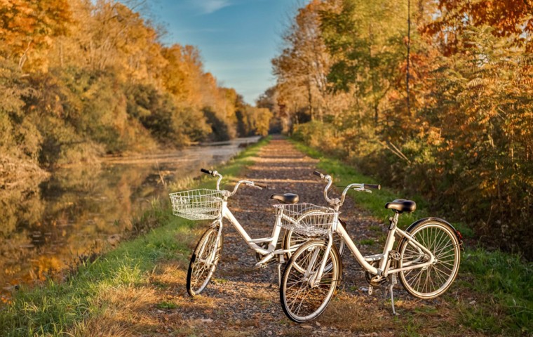 bikes in the fall