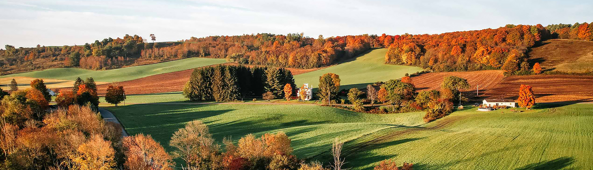 fall in hamilton