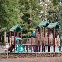 Cuesta Park, children's play outdoor play area surrounded by large trees.