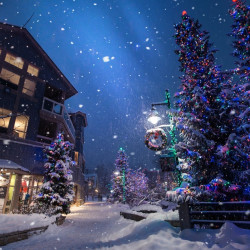 Snowy Street with Christmas Trees and shops and colorful lights