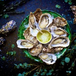 oysters on the half shell