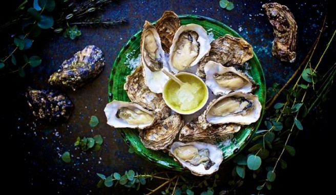 oysters on the half shell