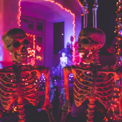 halloween skeletons