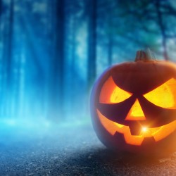 jack o lantern in the woods