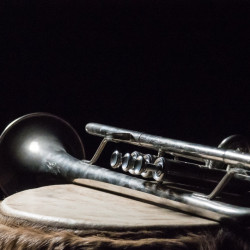 trumpet