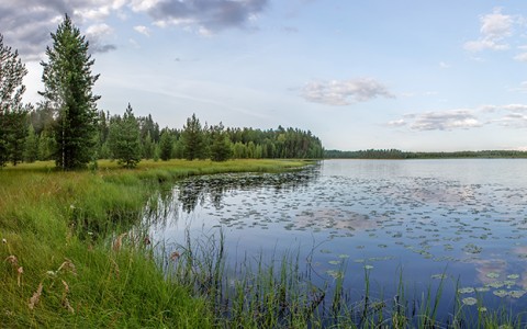 Anne Kolb Nature Center lake