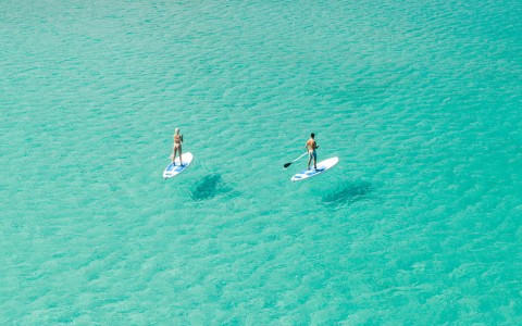 Man and woman on stand up paddle boards in the clear blue ocean with the sun shining from above.
