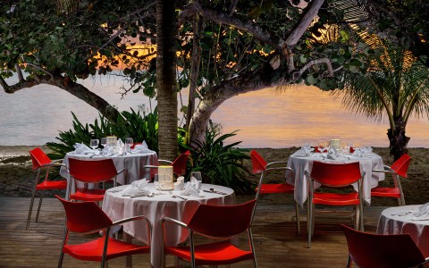 Outdoor dining tables with white linen and red chairs underneath lush trees at dusk,