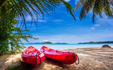 two red kayaks beached on the sand under the green palm trees with the sun shining from above.