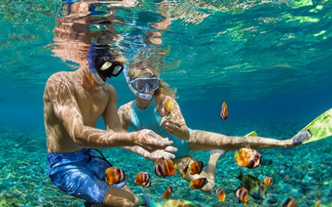 Man and woman snorkeling in the clear blue water looking at orange clownfish.