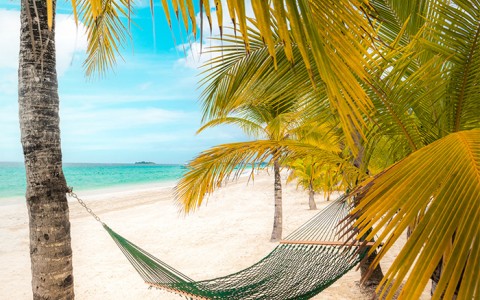 Emerald green hammock hanging from palm trees on the beach.