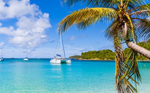 Bright blue water and sailboats with a palm tree off to the right.