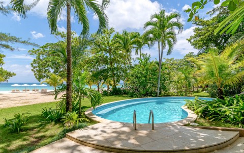 small pool surrounded by tall green palm trees.