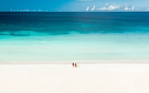 Bright blue ocean with two guests walking towards it hand in hand.