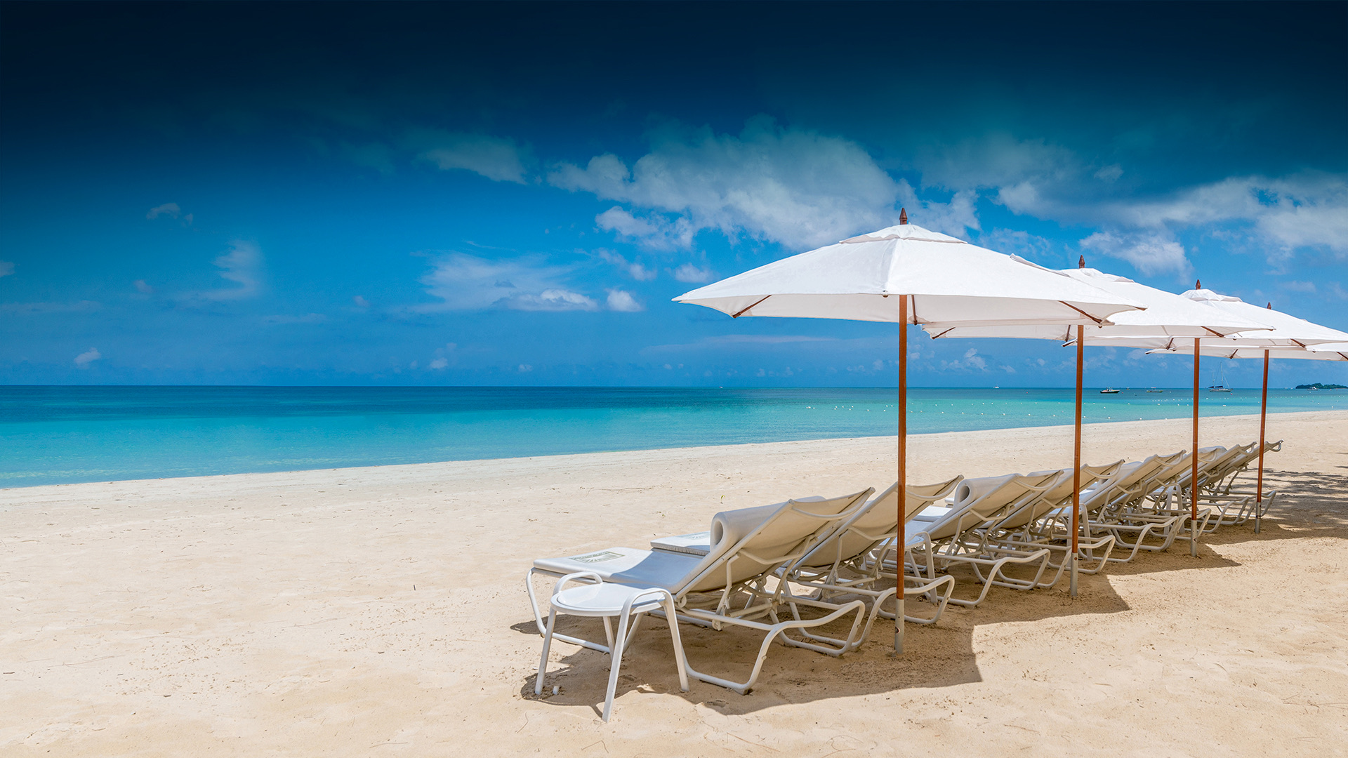 Lounge chairs with umbrellas opened in the sand on the beach.