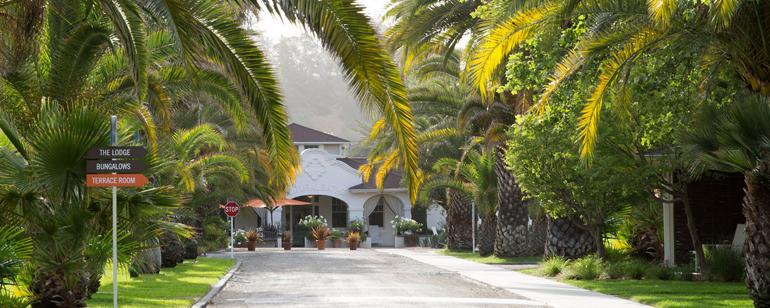 an exterior shot of indian springs calistoga with palm trees around it