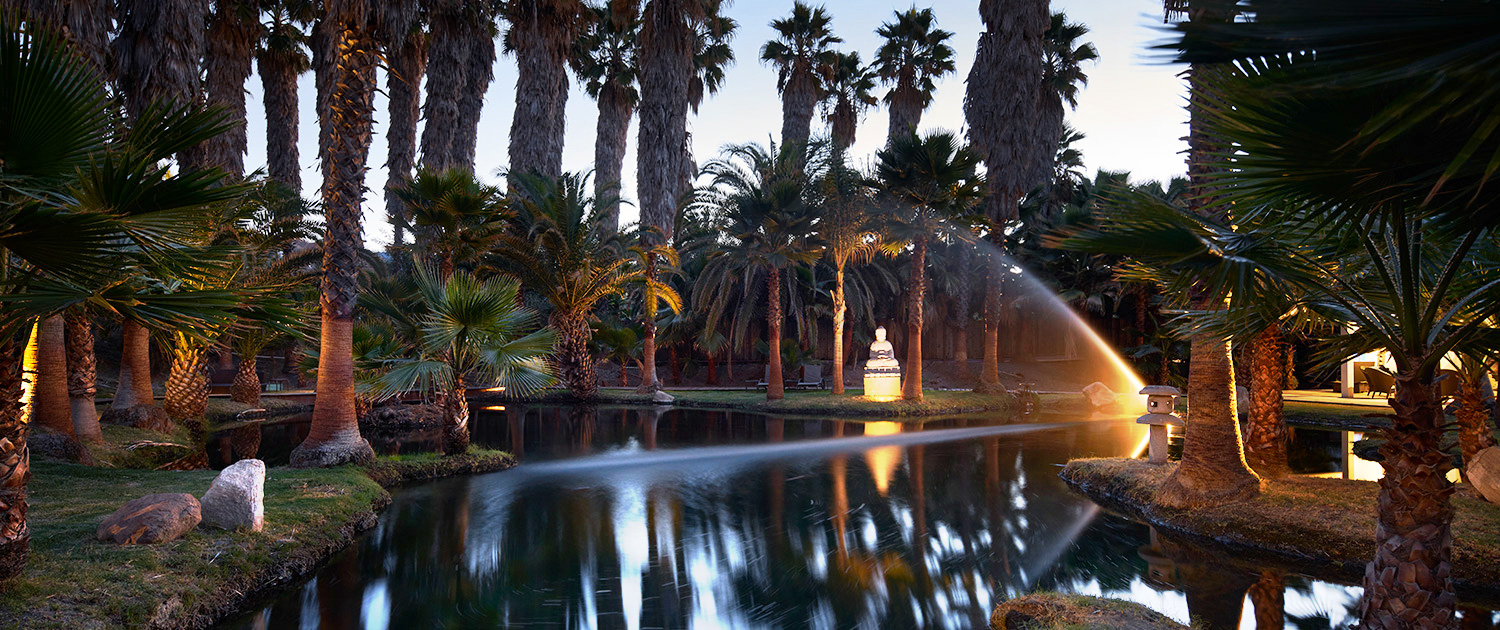 nighttime view of the buddha pond