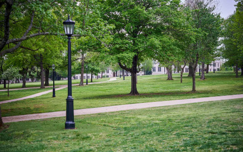 green lawn and a side walk