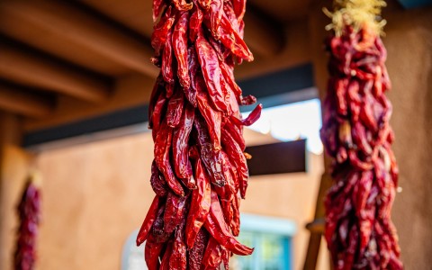 dried red chilis hanging from roof
