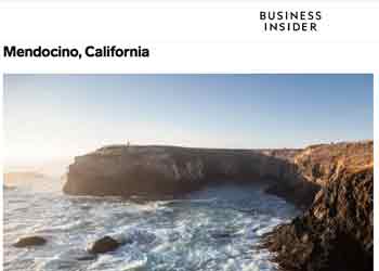 business insider article