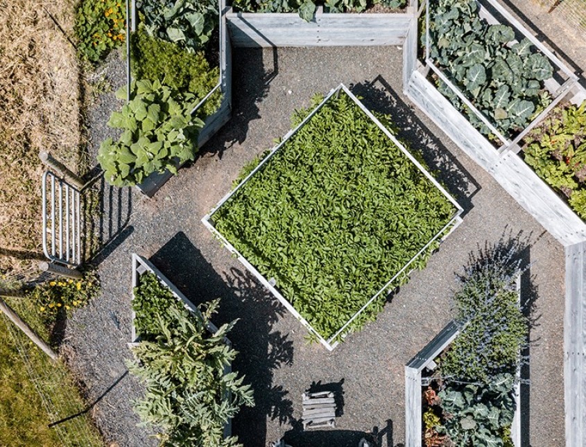 aerial view of small gardens