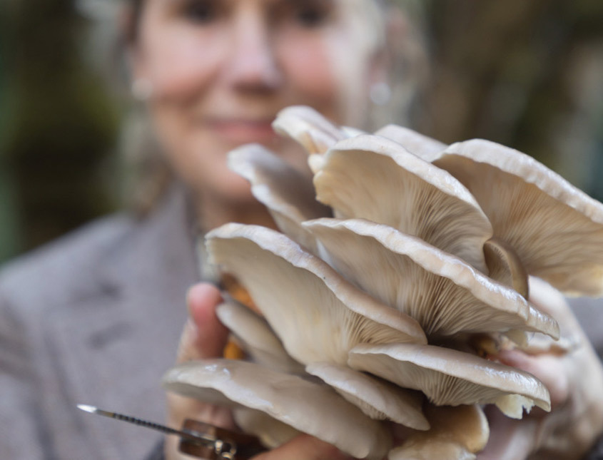 woman holding mushrooms 