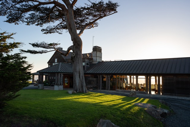 exterior view of building with a very tall tree in the front