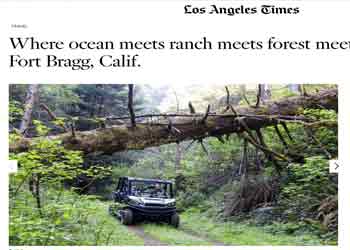 la times article screenshot