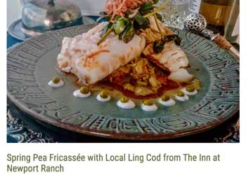 spring fricasse on a green plate