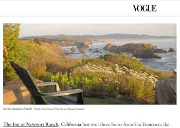 vogue article screenshot