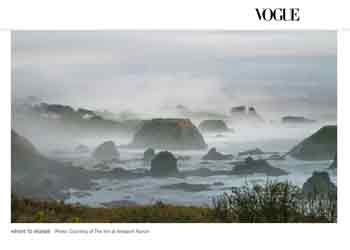 vogue article screenshot