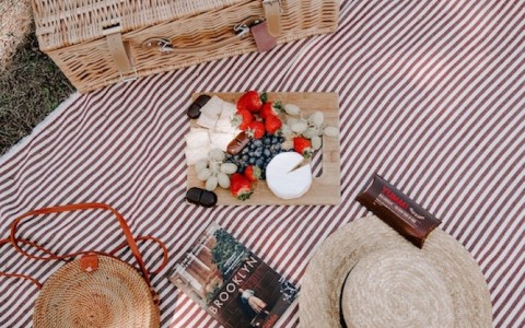 picnic picture with food and book