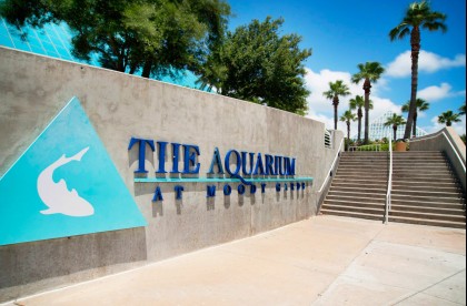 Exterior Aquarium At Moody Gardens signage