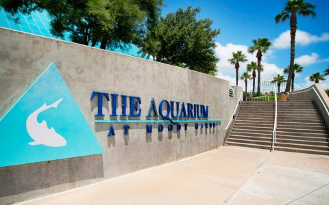 Exterior Aquarium At Moody Gardens signage