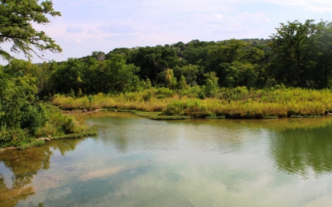 Lake surrounded by trees