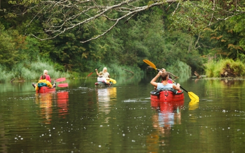 Group of people kayaking down a river