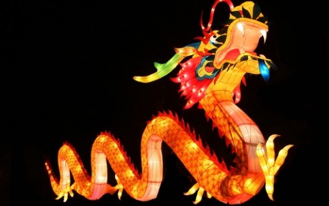 dragon at chinese lantern festival