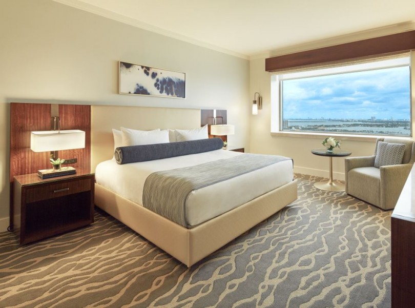 king bed_city view