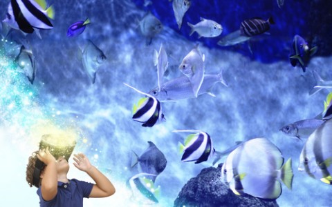 child wearing virtual reality glasses looking at fish