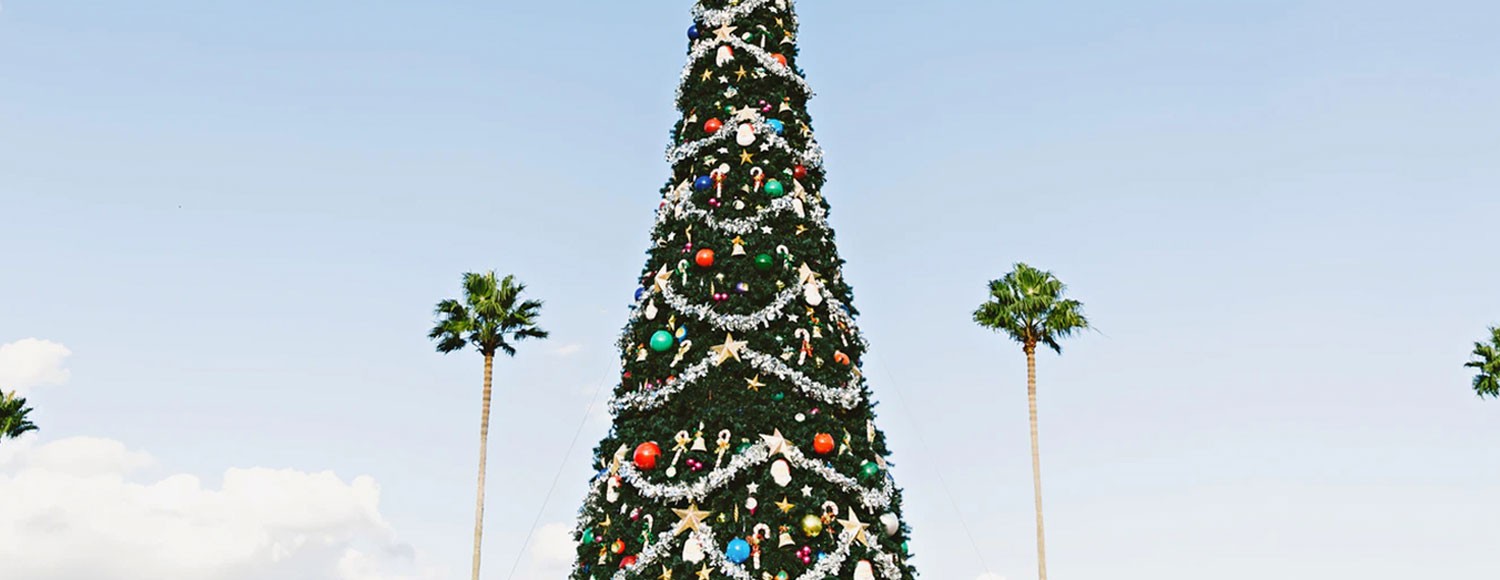 header christmas treee and palm trees with blue sky