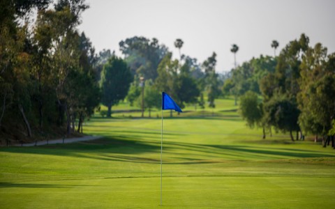 close up of a blue flagstick on a flat portion of the golf course