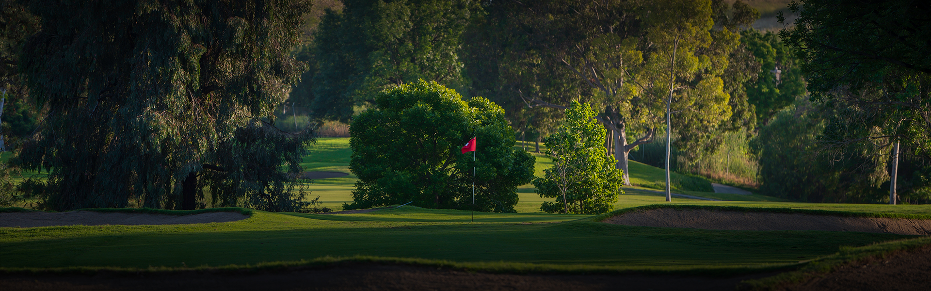 a dim image of a red flagstick and a variety of trees on the golf course