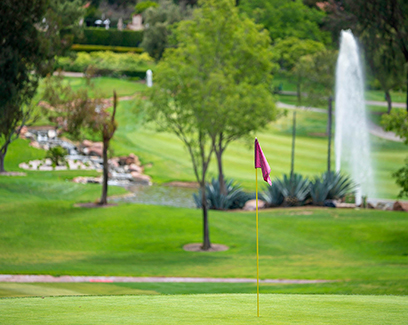 a pink flagstick on a bright green course with a fountain just behind it