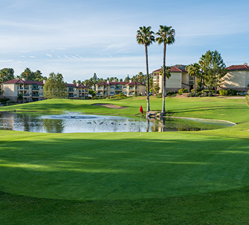 a small pond located in the middle of the golf course with tall palm trees and many buildings in the distance