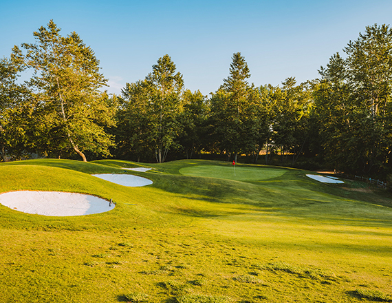 tall green trees lining an area of the course with sand traps