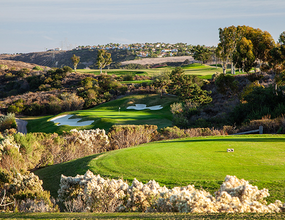 white flowers located to to the golf course